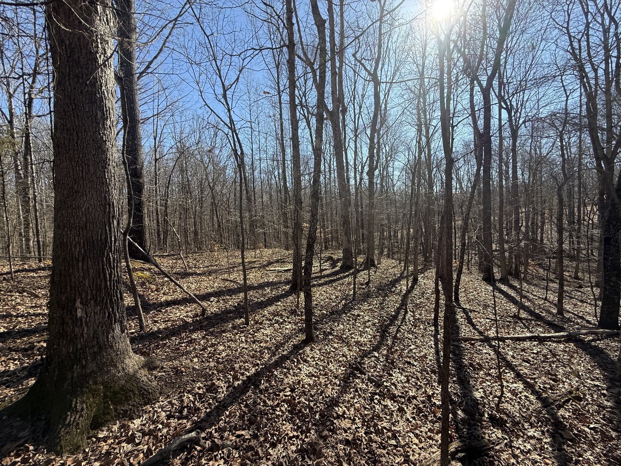 26 Backwoods Estates