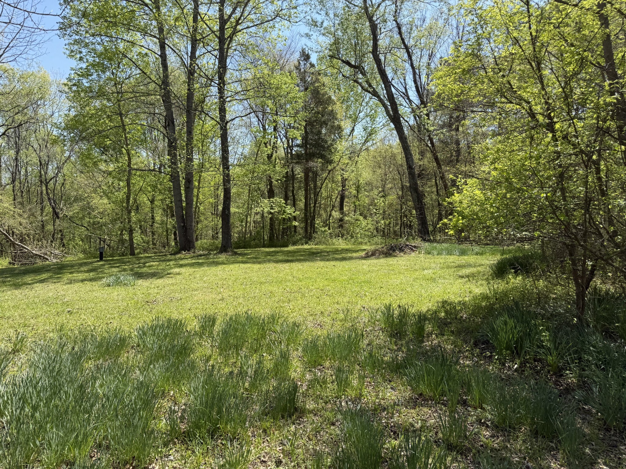 534 Whitney Branch Rd