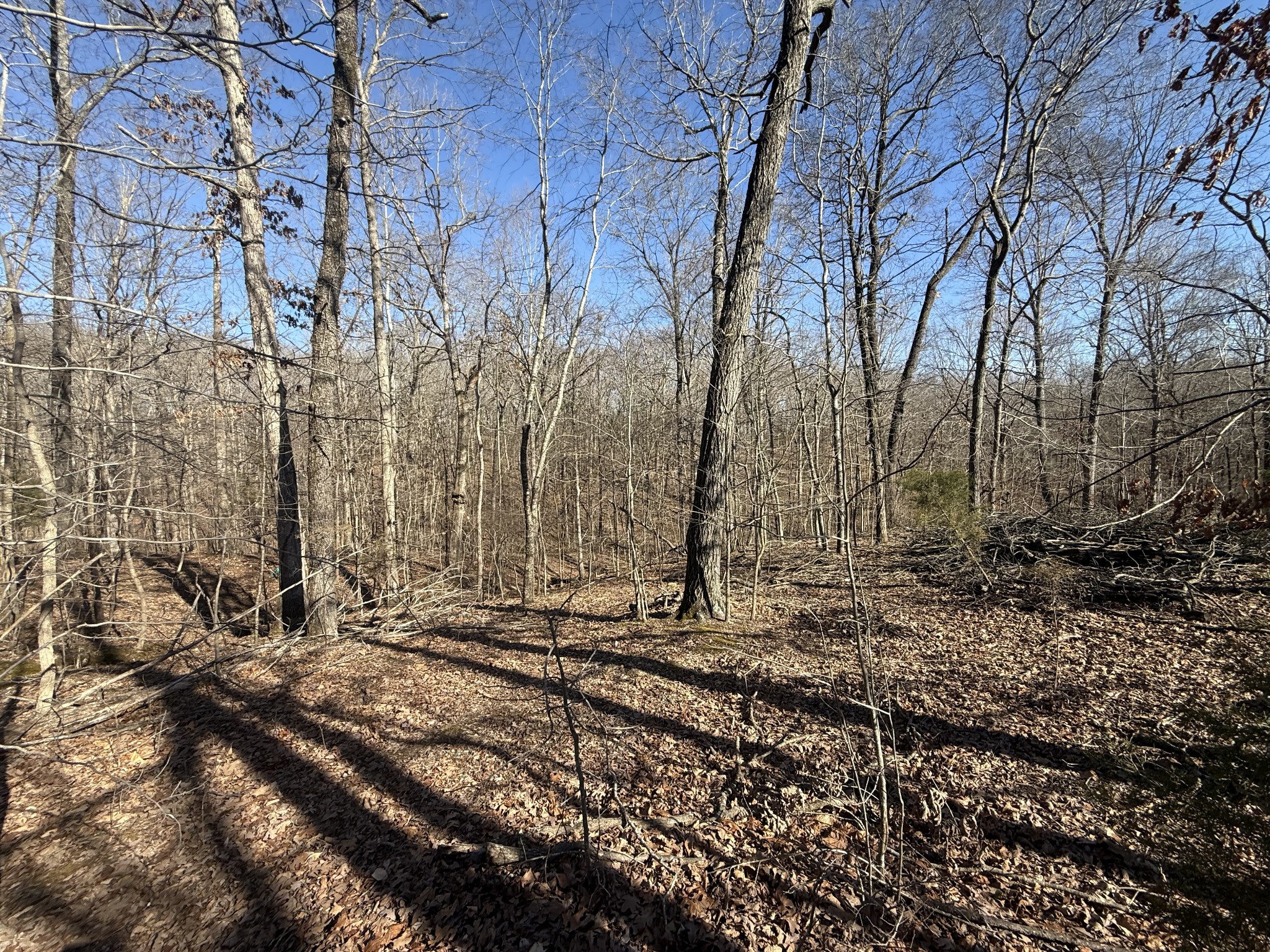 20 Backwoods Estates