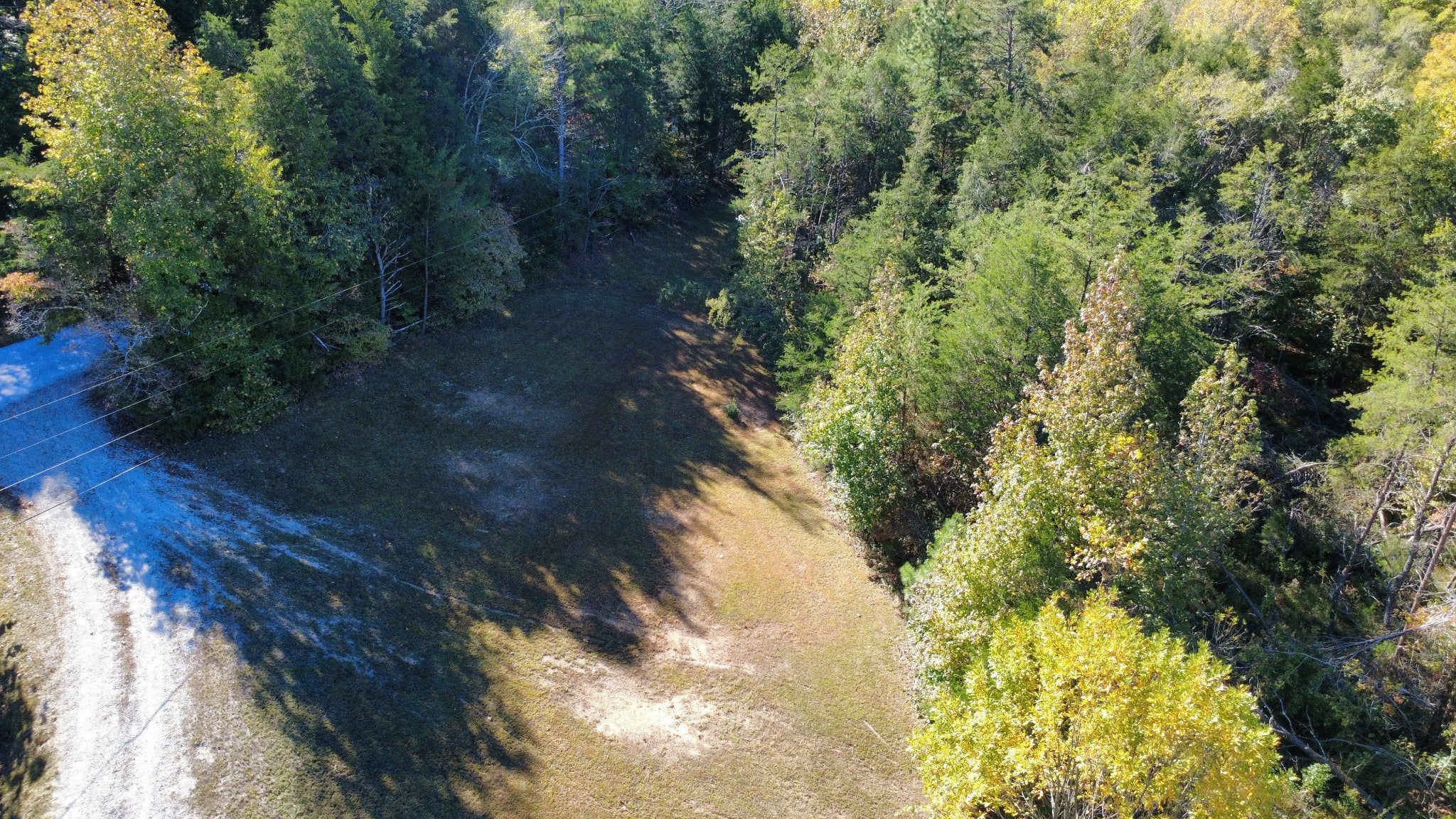815 McCord Hollow Rd