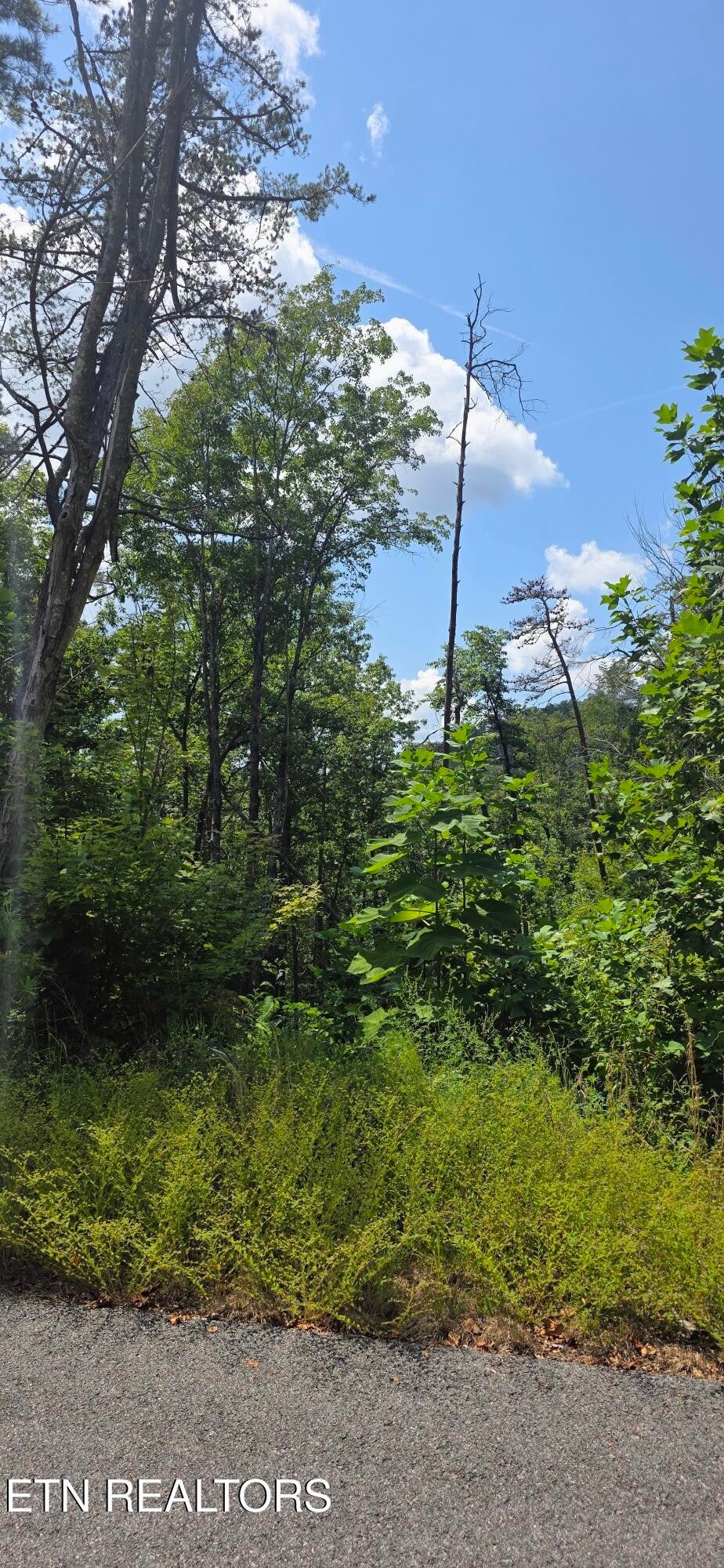 14 Sugar Maple Loop Rd