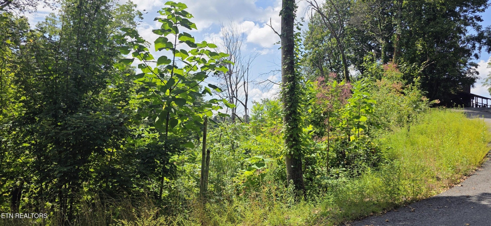 14 Sugar Maple Loop Rd