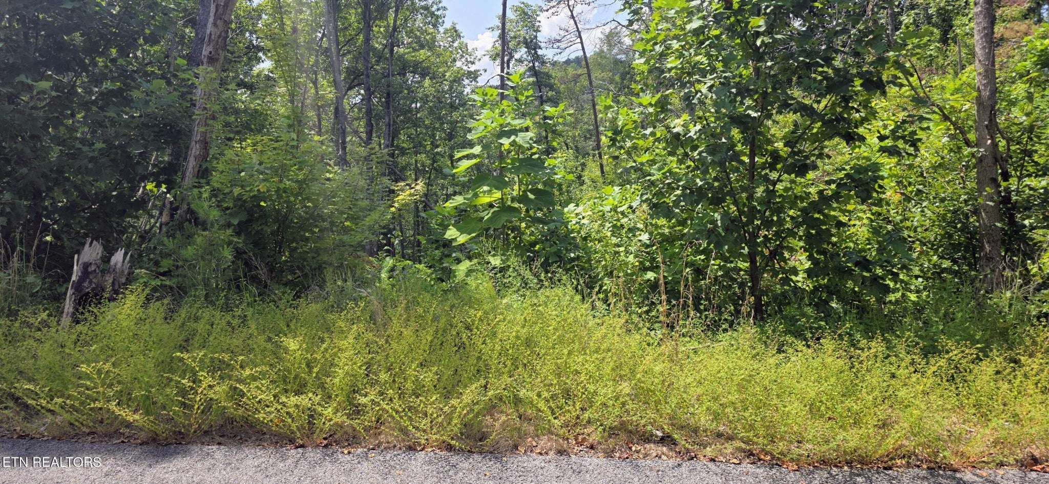 14 Sugar Maple Loop Rd