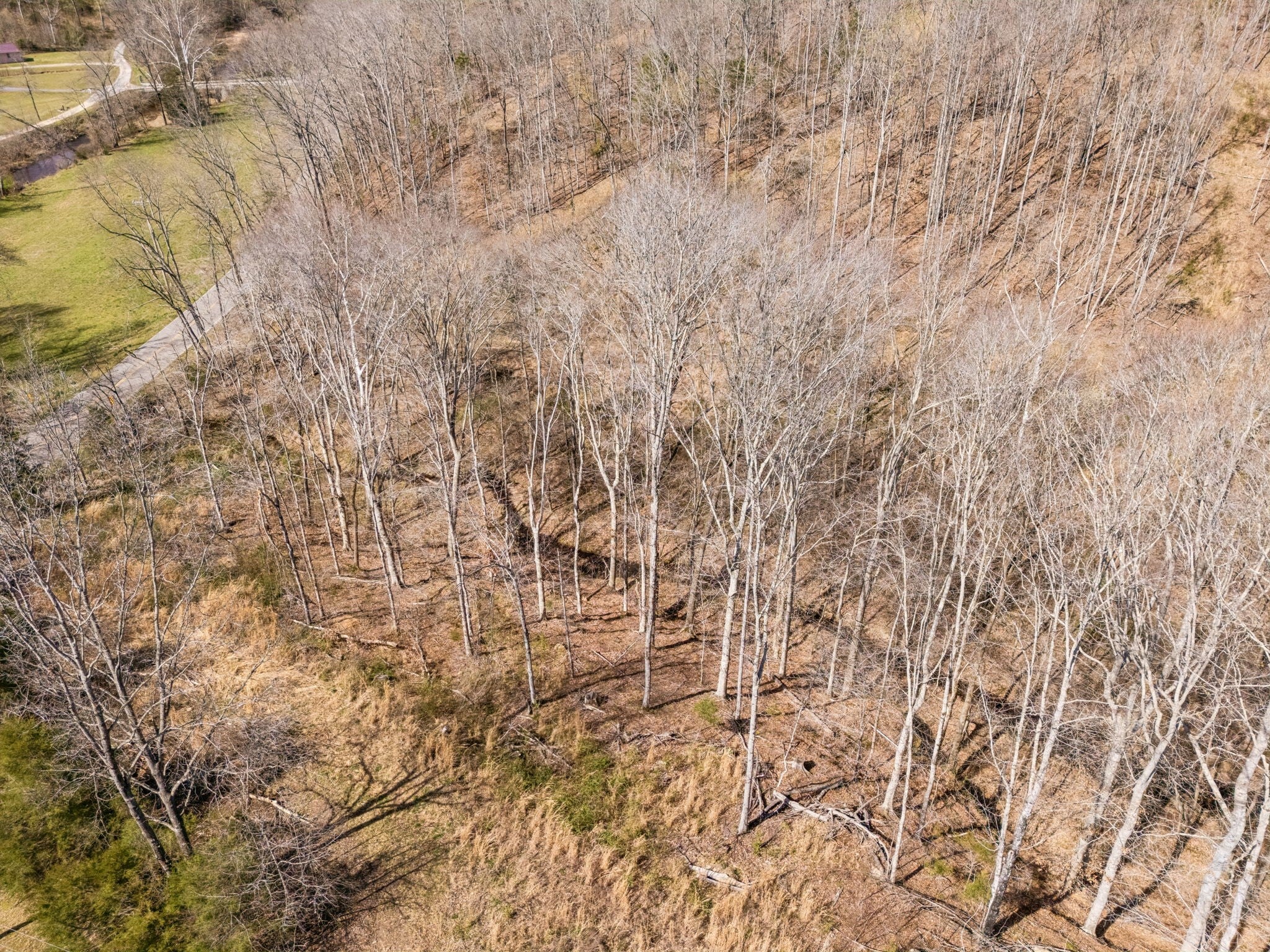 635 Cane Creek Rd