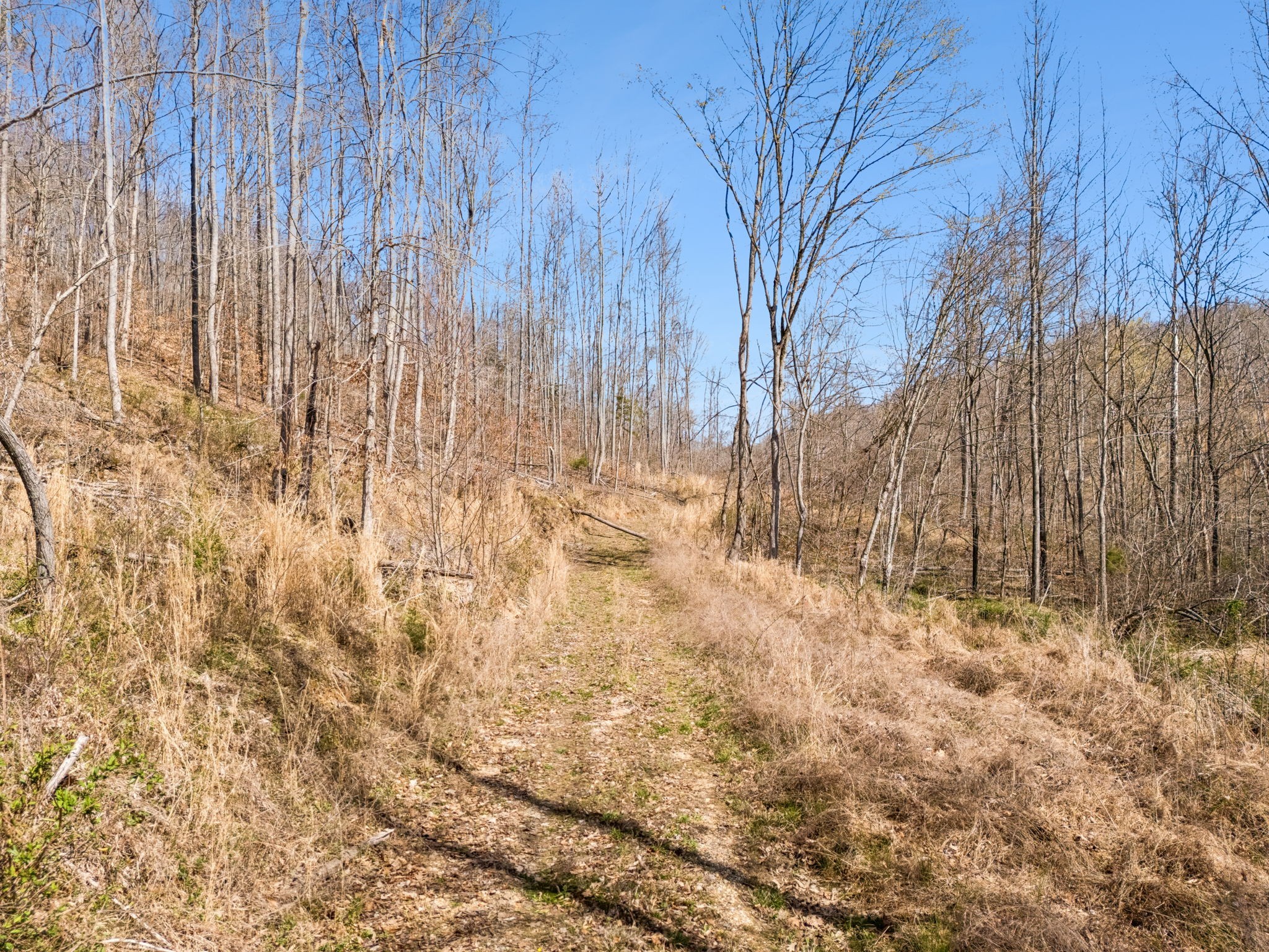 635 Cane Creek Rd