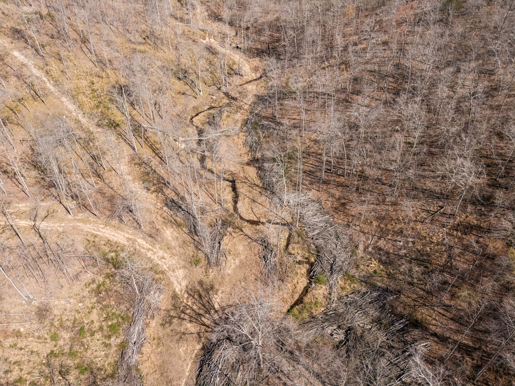 635 Cane Creek Rd