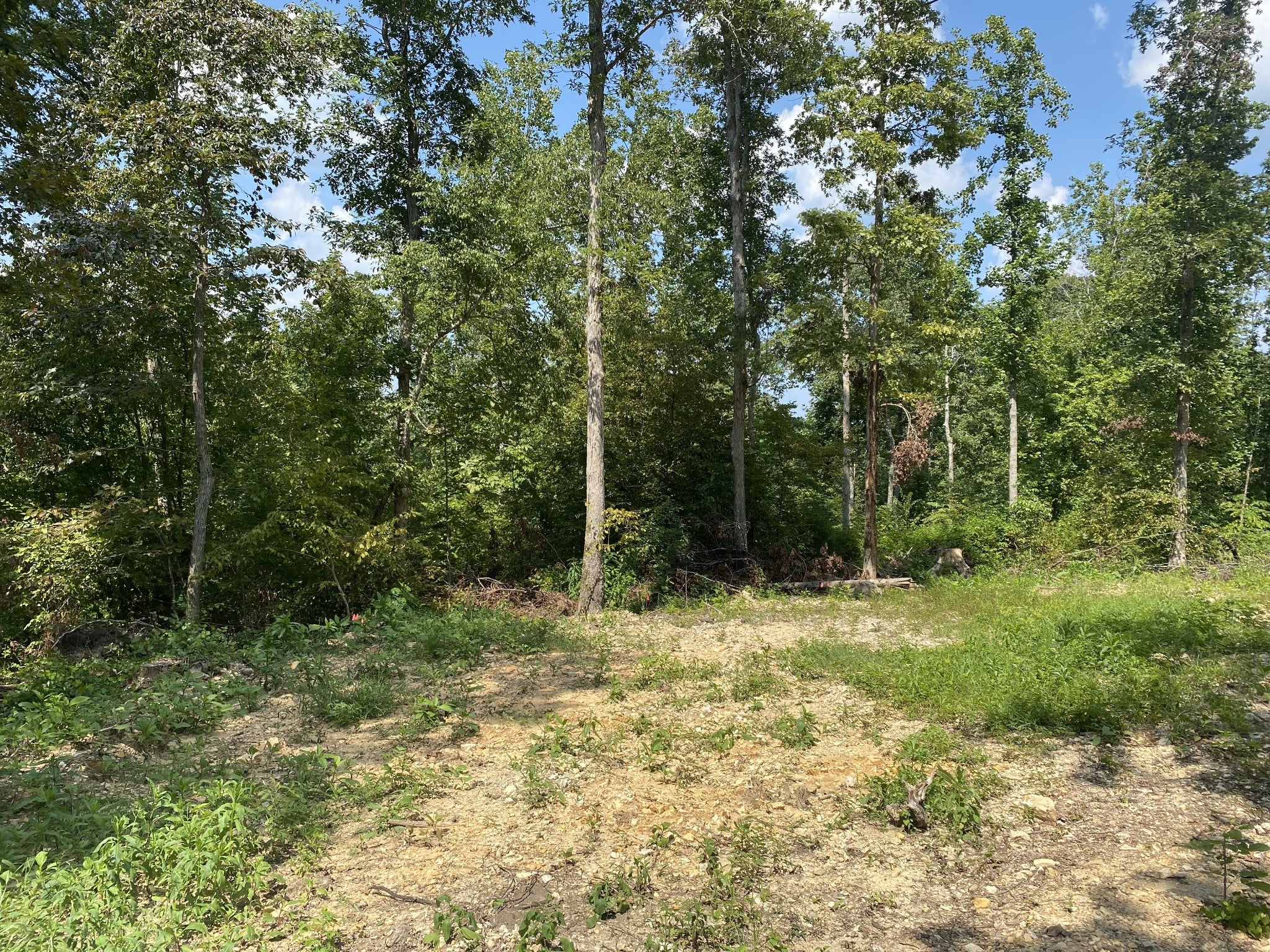 401 Napier Rd