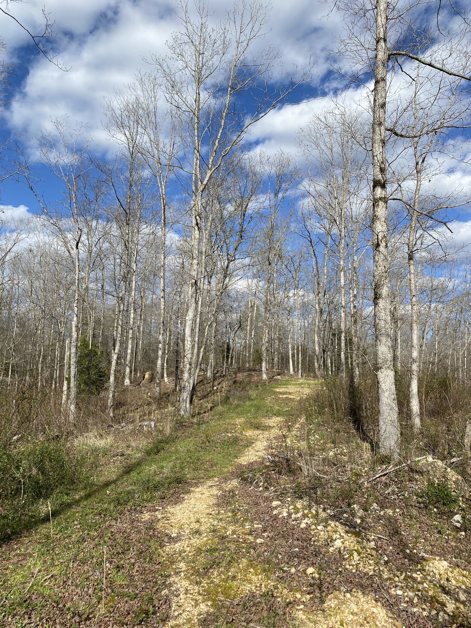 401 Napier Rd