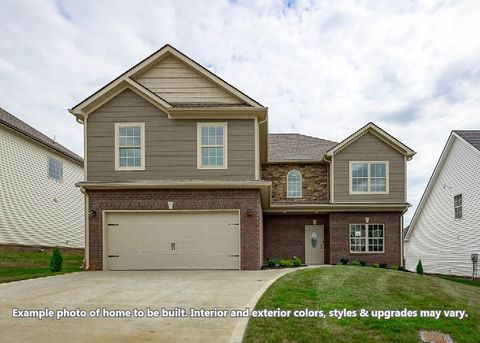 1044 Mourning Cloak Dr Clarksville TN 37043