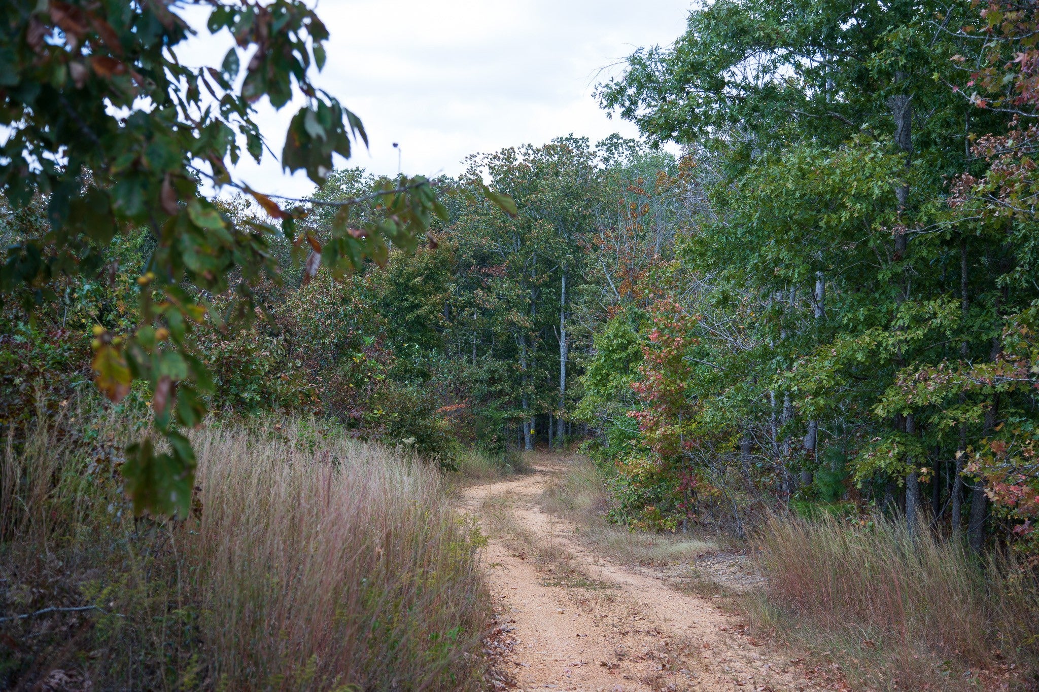 0 Mayfield Divide Rd