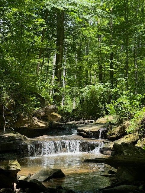 0 Monterey HWY Monterey TN 38574