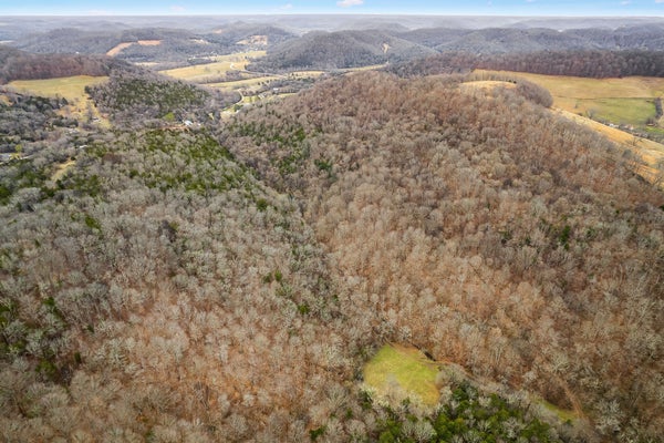 LANCASTER HWY, HICKMAN, TN 38567 - Image b85b38ca650e0afd4085c6b82b6aa818/64897724