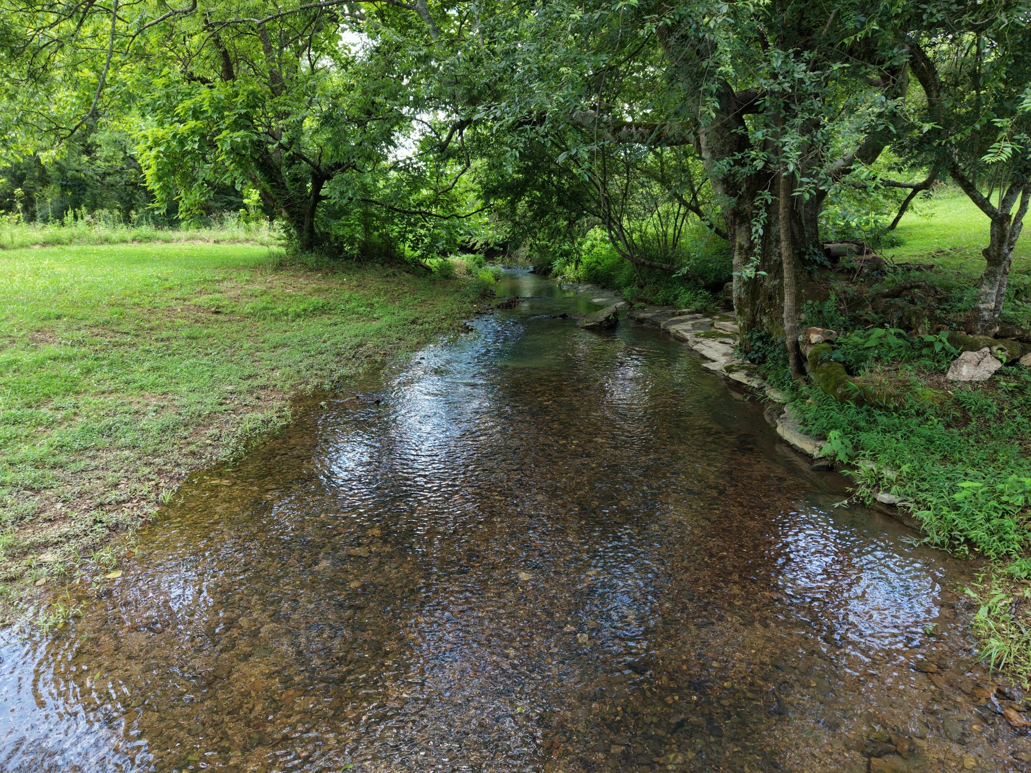 1655 Hurricane Creek Rd