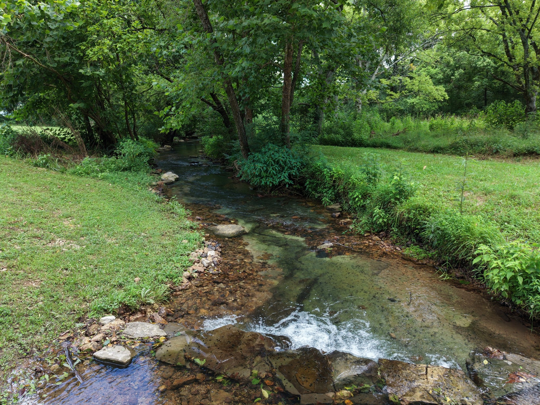1655 Hurricane Creek Rd