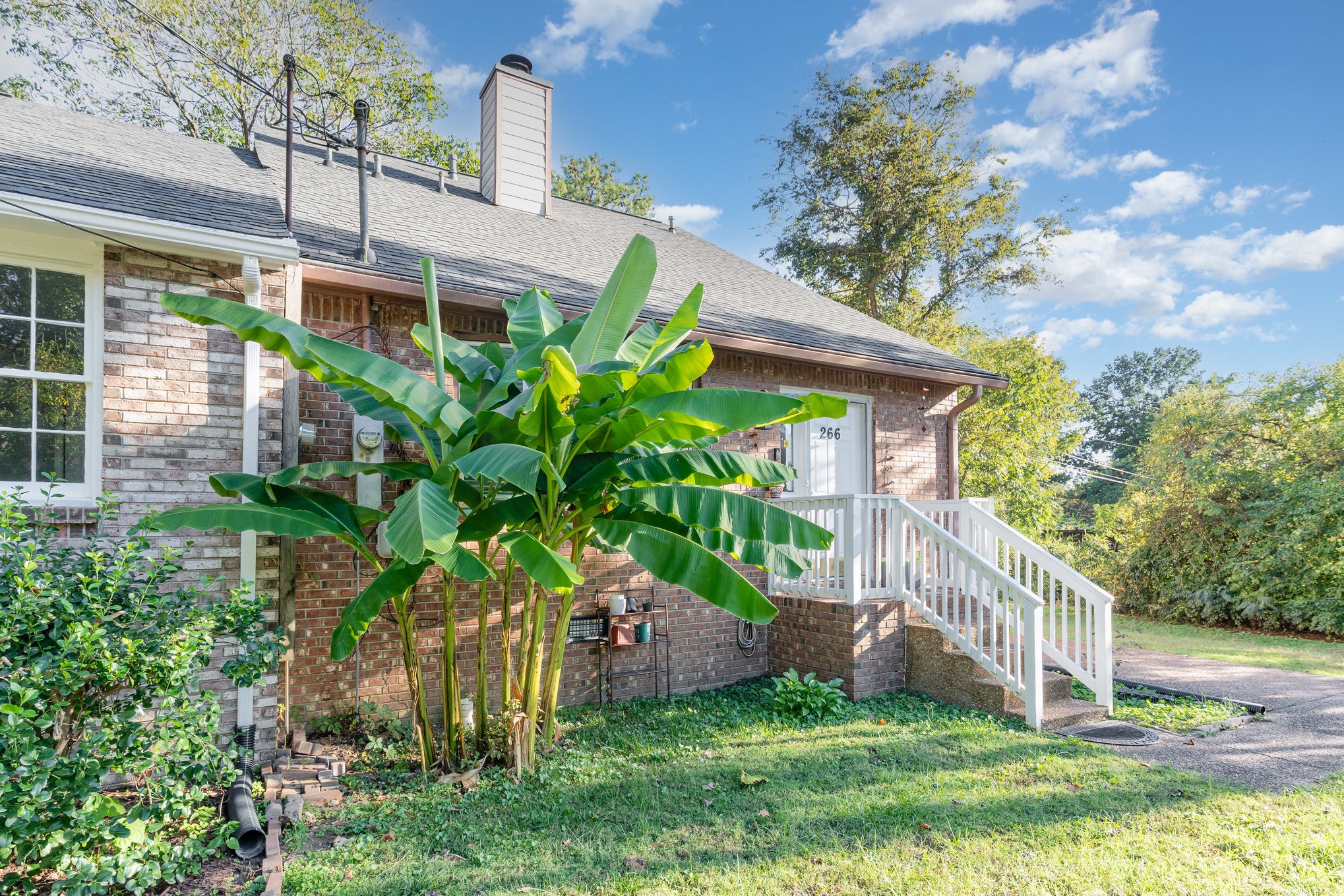 266 New Sawyer Brown Rd