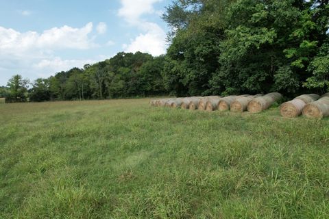 1 N Lick Creek Rd Franklin TN 37064