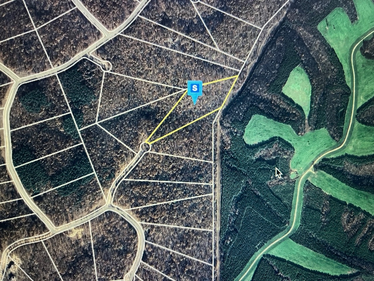 Listing image 1