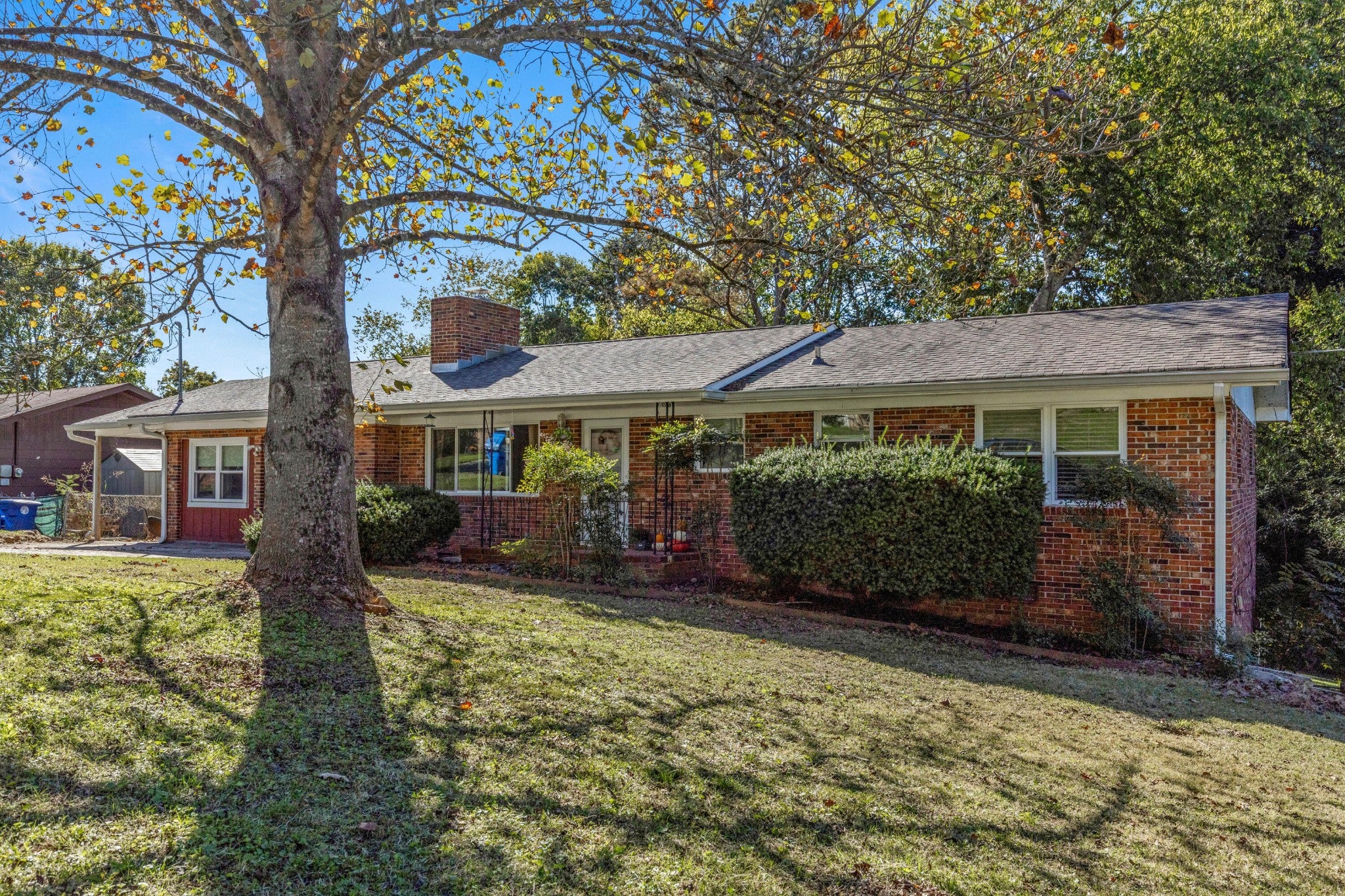 5229 Loblolly Lane
