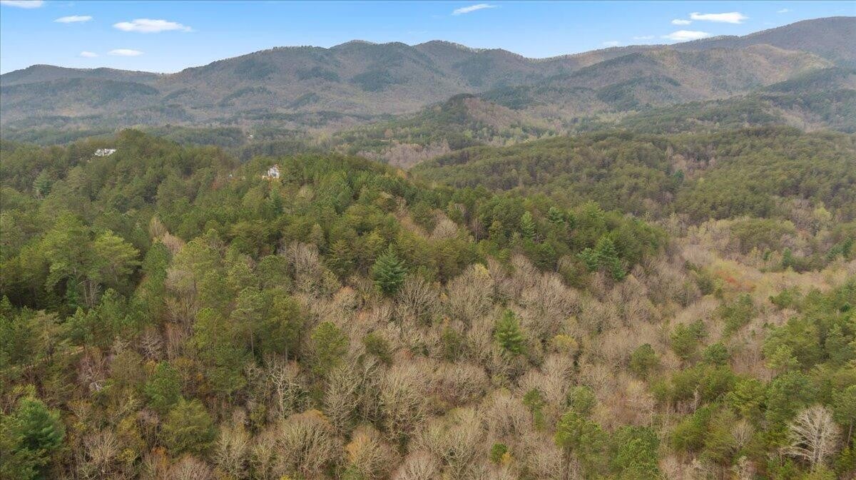 7 Skyline Drive
