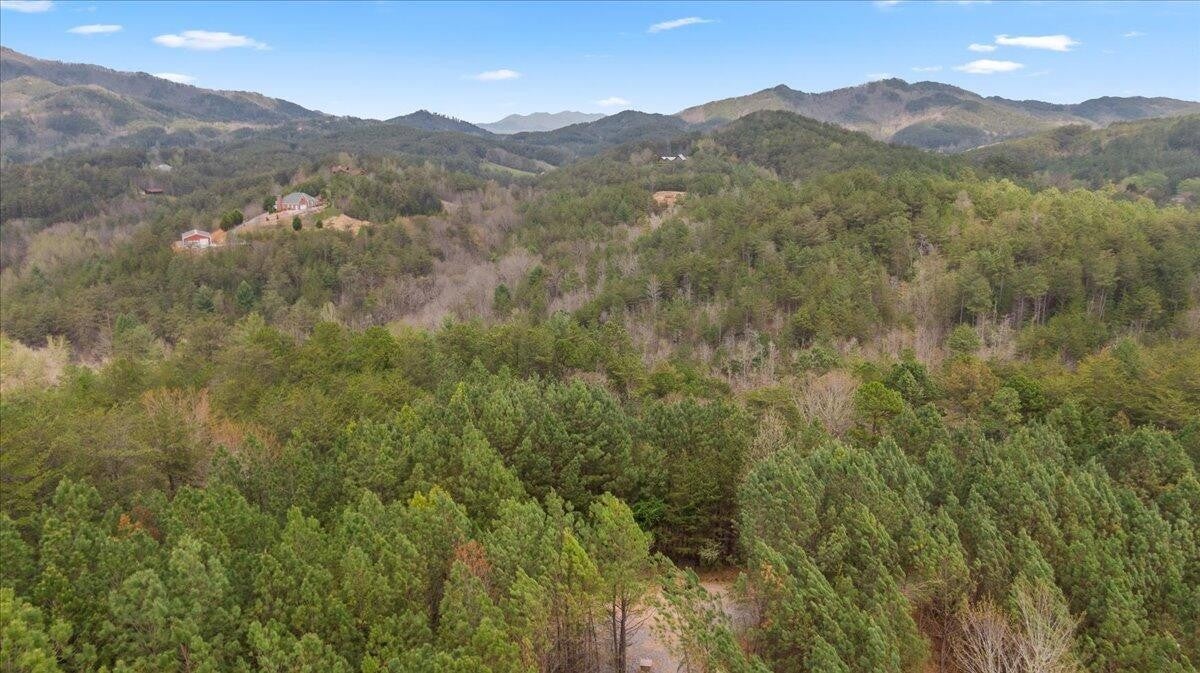7 Skyline Drive