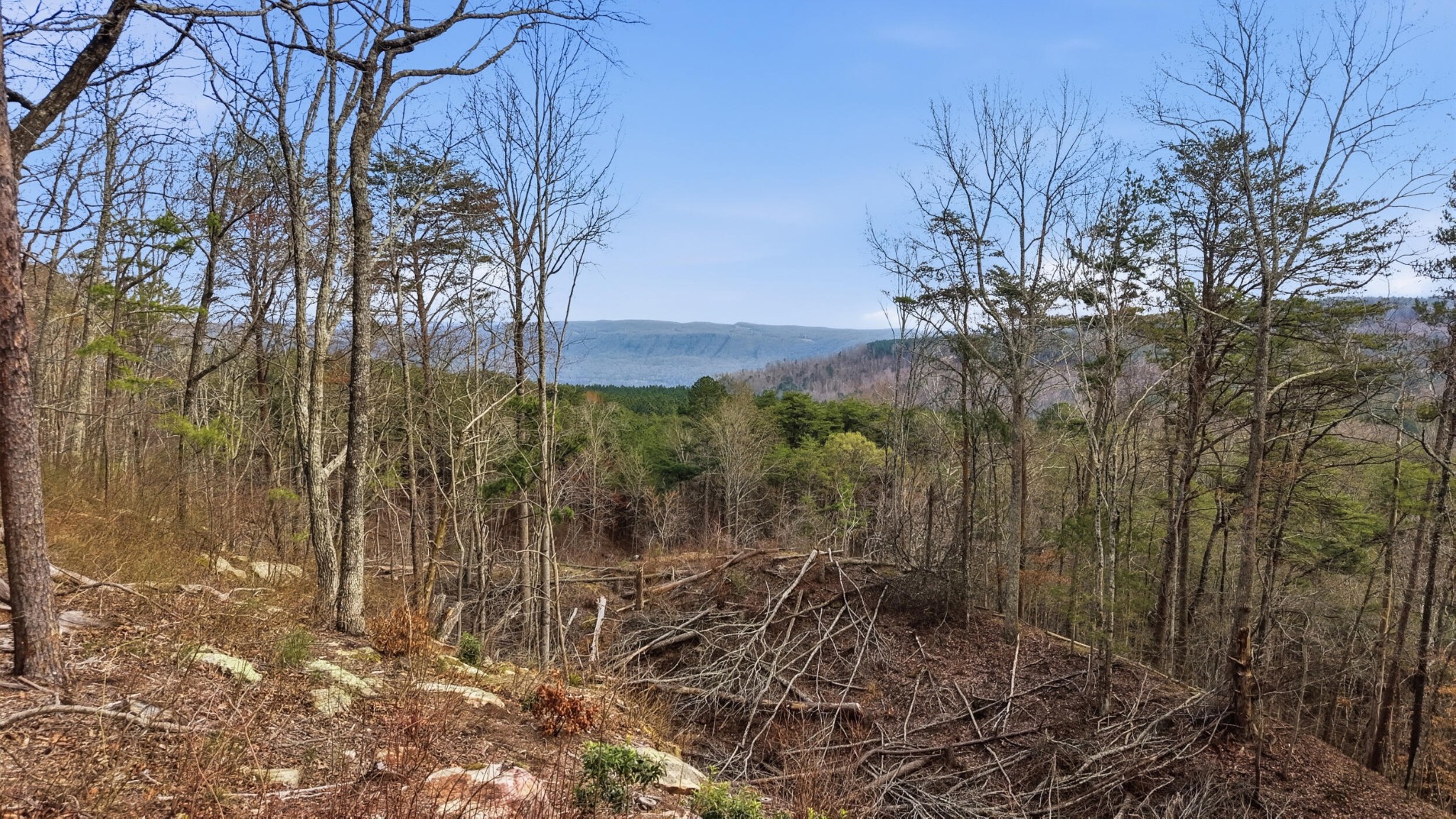 2154 Fallen Oak Pass