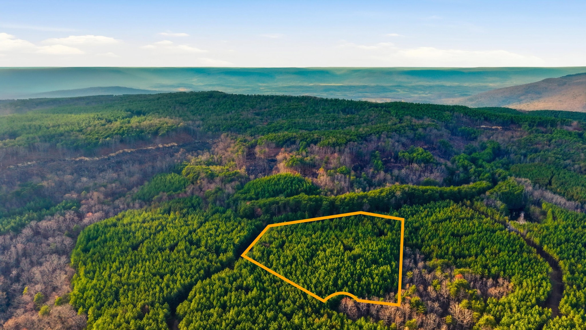 2154 Fallen Oak Pass