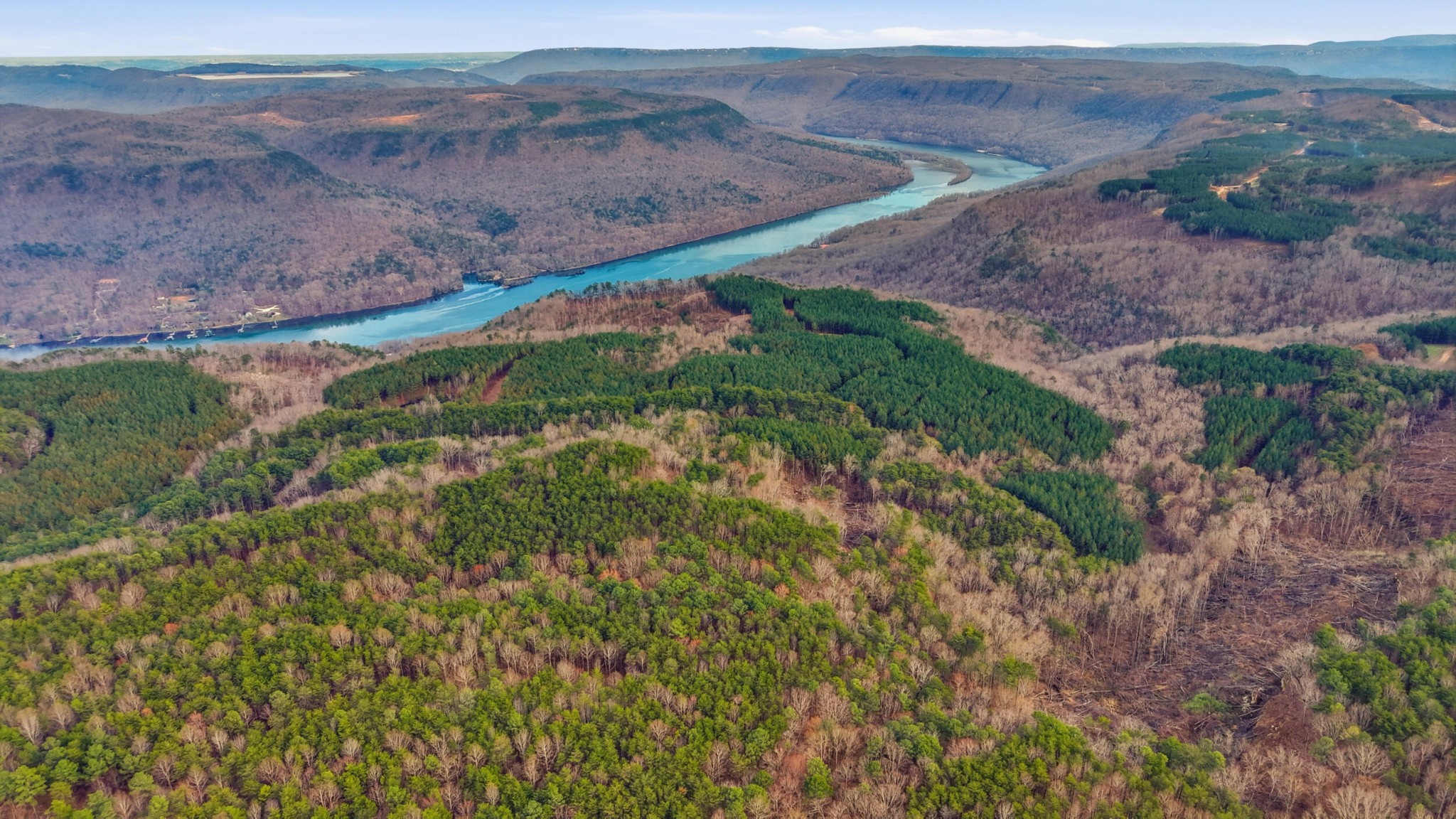 2154 Fallen Oak Pass