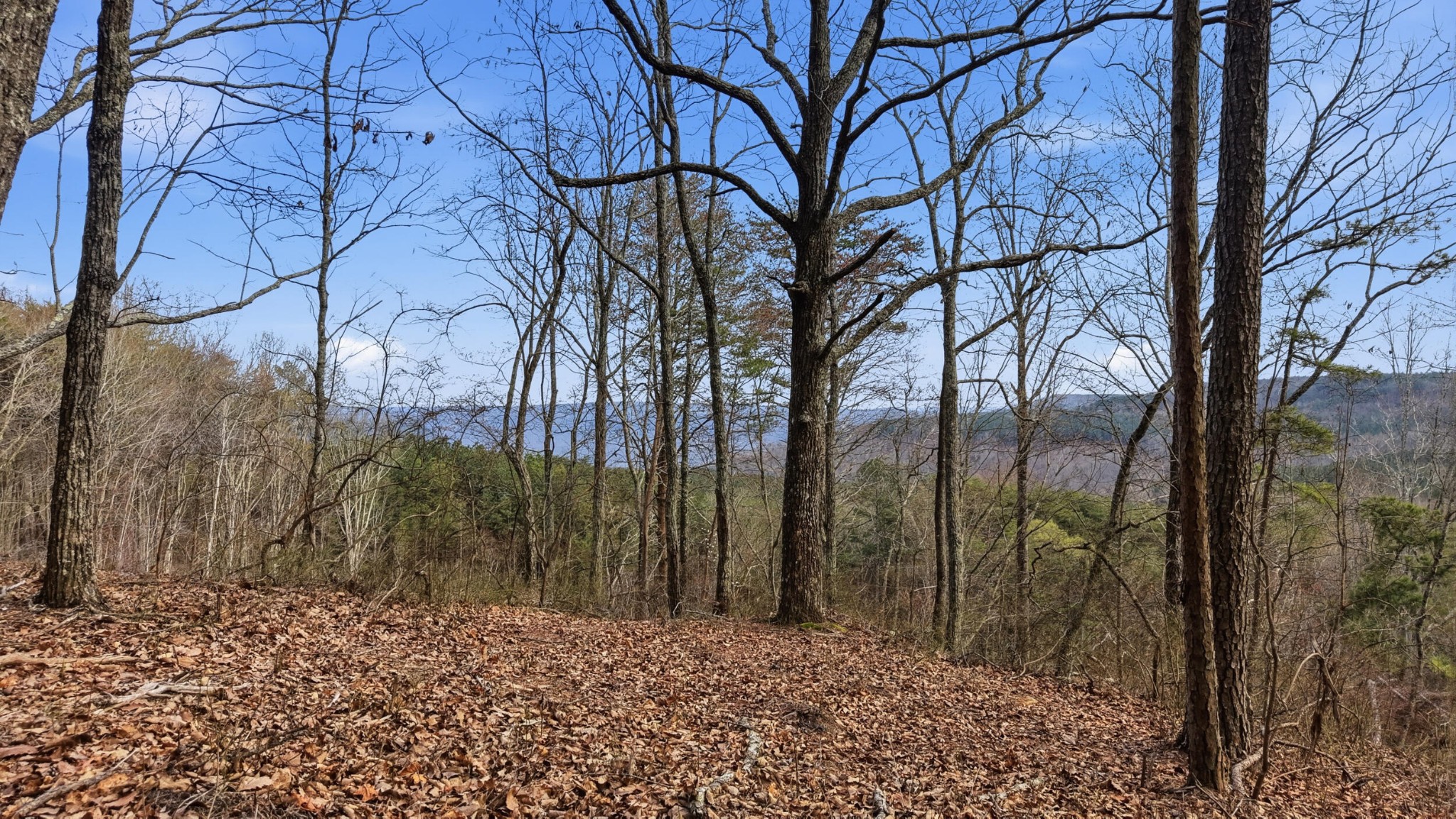 2154 Fallen Oak Pass