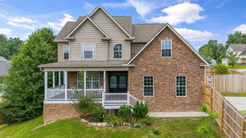 241 Hillside Ln Lenoir City TN 37771