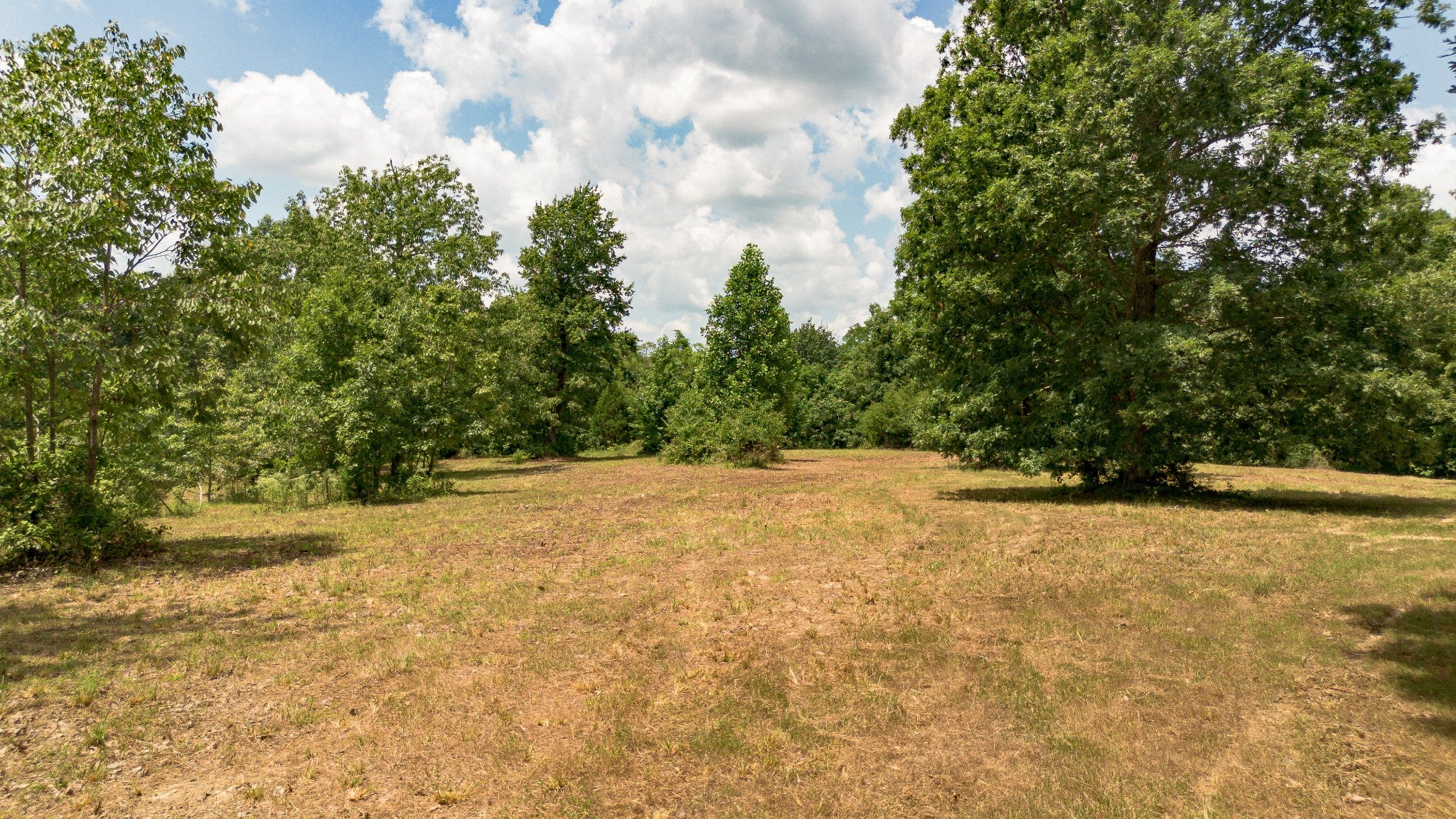0-bed lot for sale in Nashville, TN 37209, 8218 Old Pond Creek Rd 8218 Old Pond Creek Rd, Nashville TN 37209 0-bed lot, photo 4 of 33