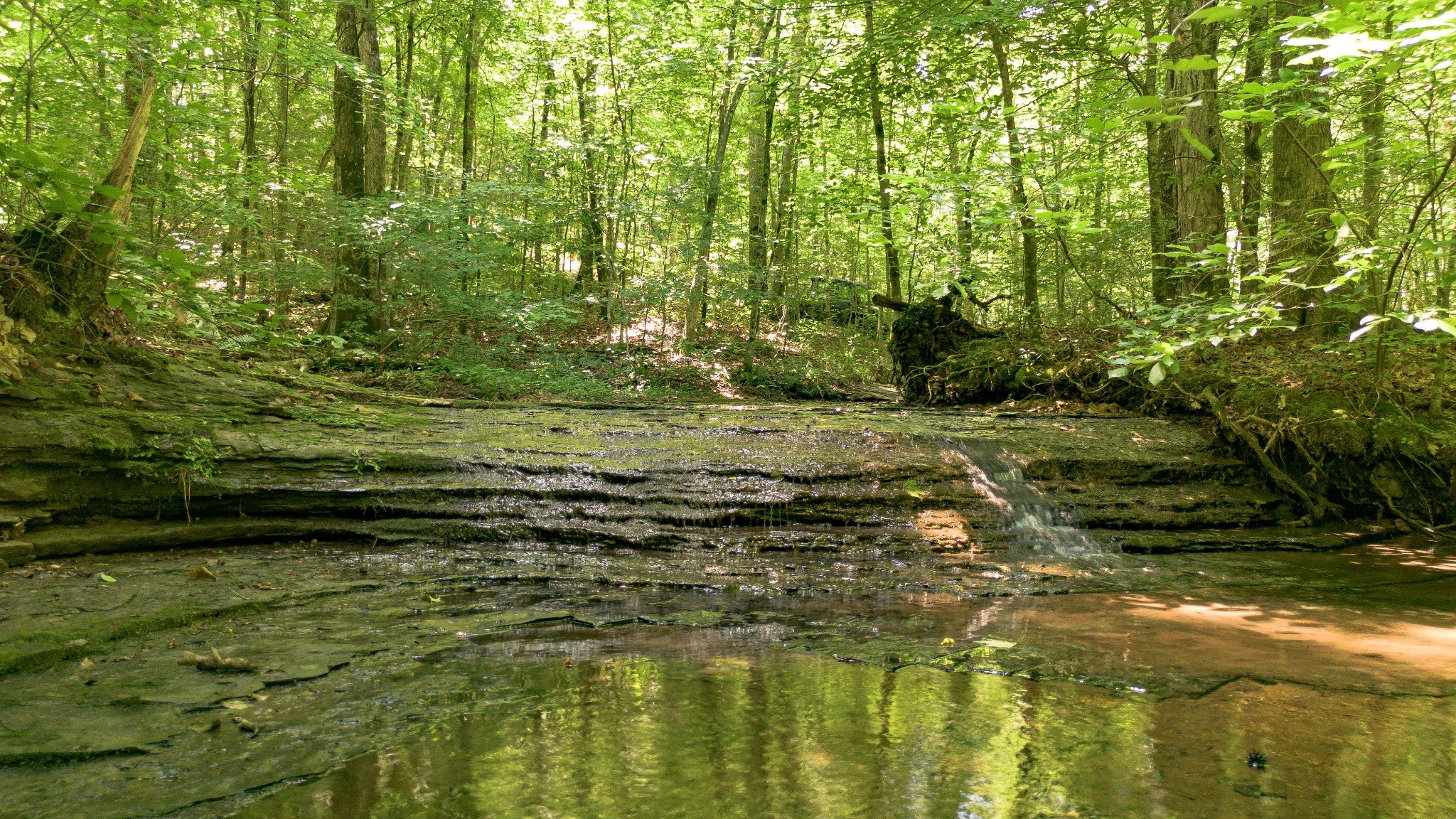 listing at 8218 Old Pond Creek Rd, Nashville