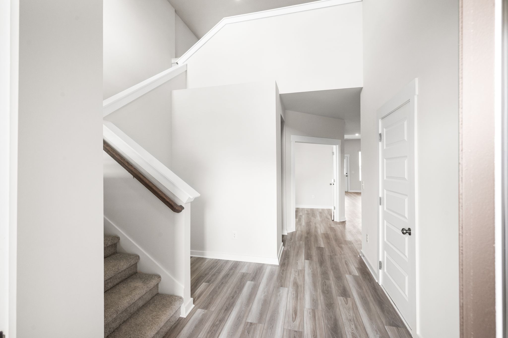 1019 Curtis Spring Ln