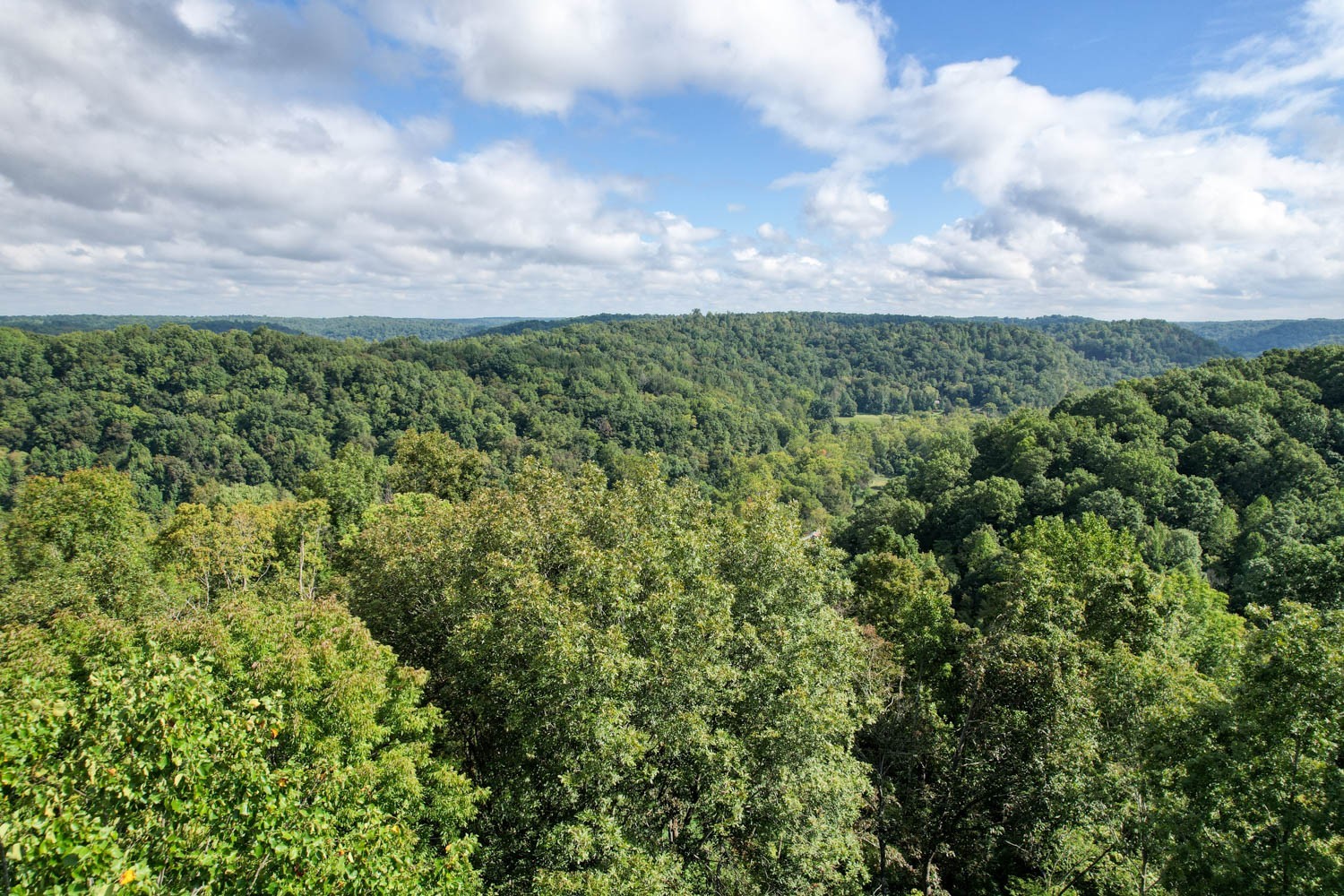 1 Ross Hollow Rd