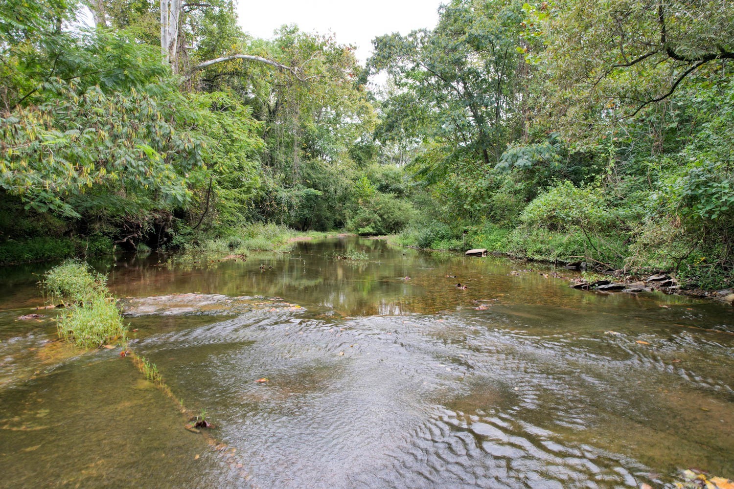 1 Ross Hollow Rd