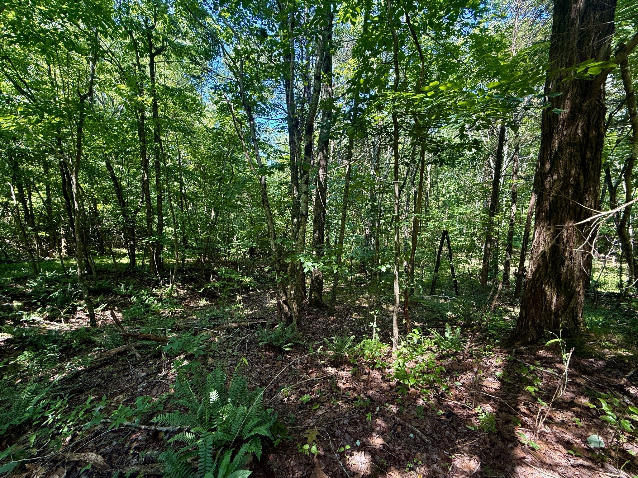1 Teludachee Trail