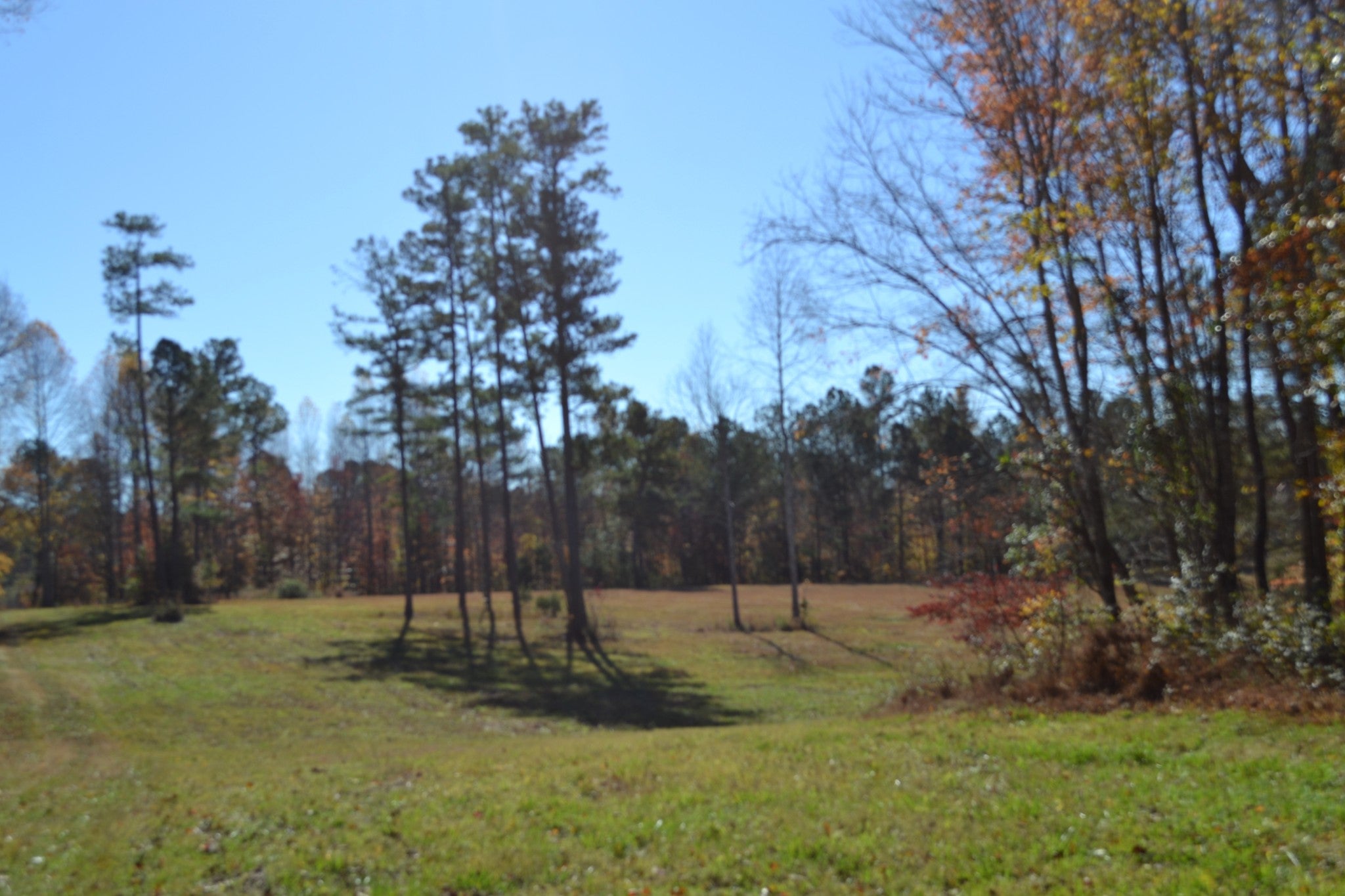 158 B Nature Trail Lane
