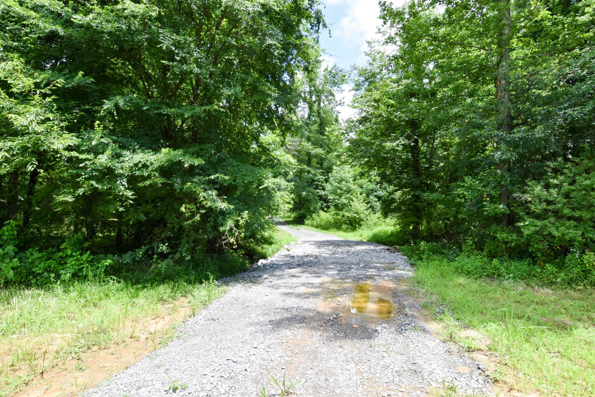 569 Fairfield Rd