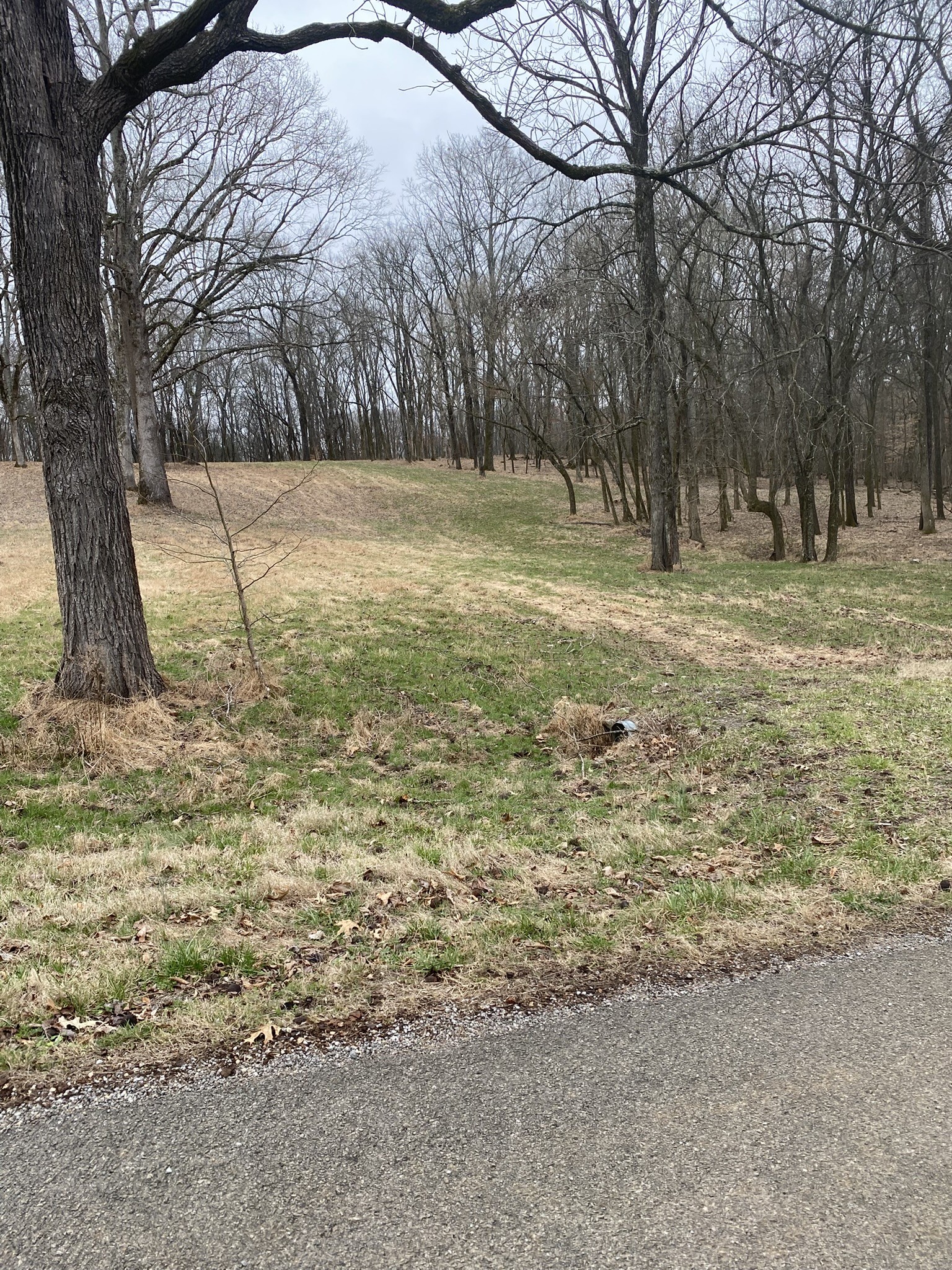 883 Scenic Circle