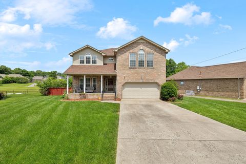 11008 Sligo Ct Smyrna TN 37167