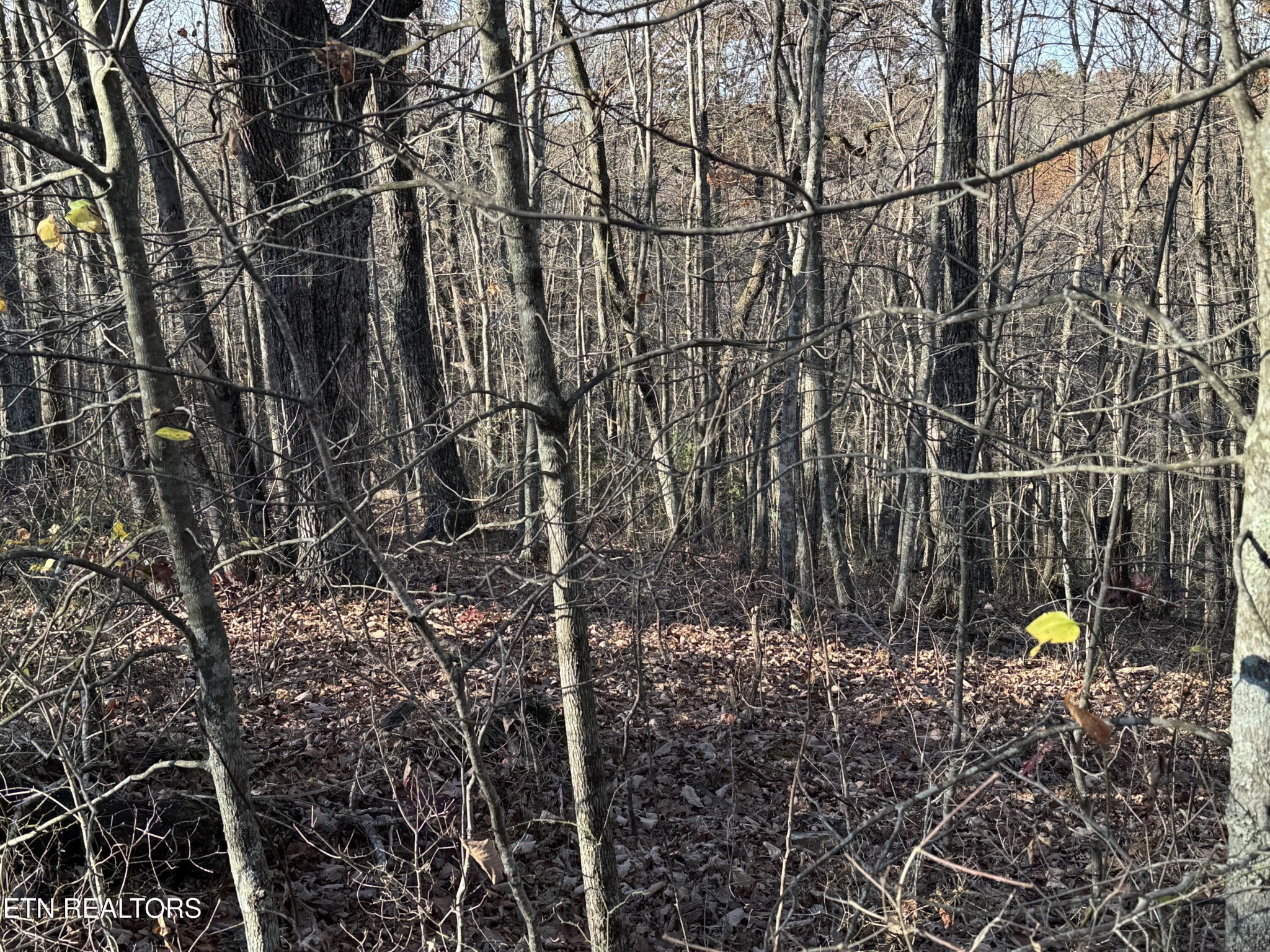 0 Bent Tree Rd