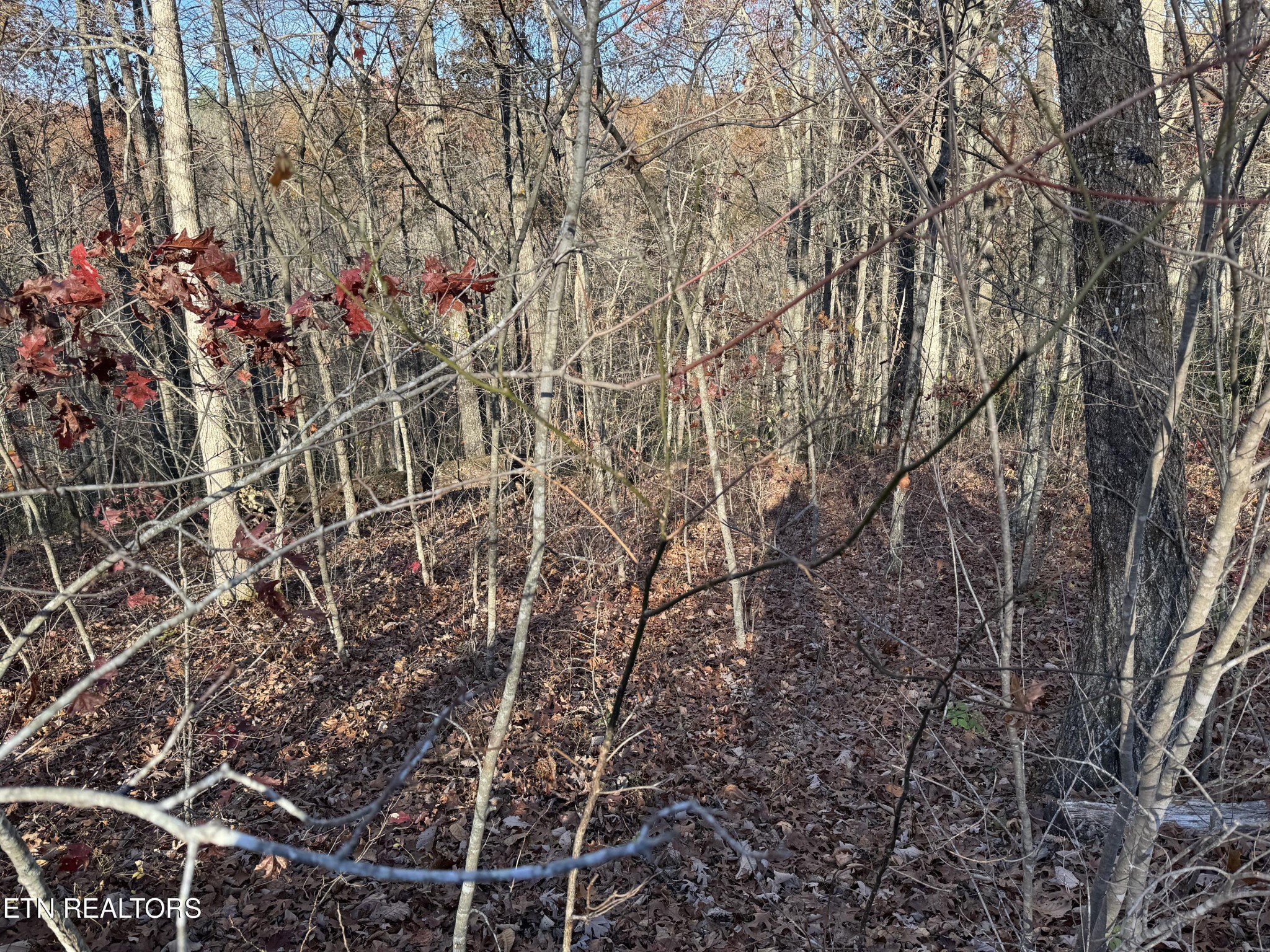 0 Bent Tree Rd