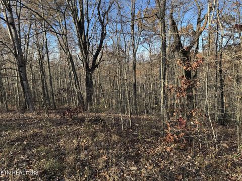 0 Bent Tree Rd Monterey TN 38574