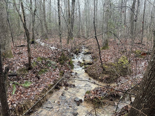 0 MAIN ST, PALMER, TN 37365 - Image b99c5aec25ab9a669cf71d7cc8d8cb5c/2734430005