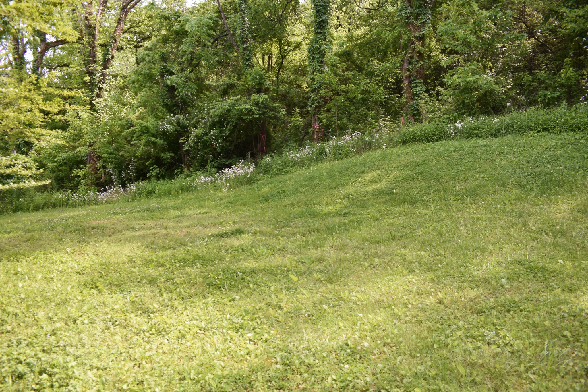 266a Defeated Creek Hwy