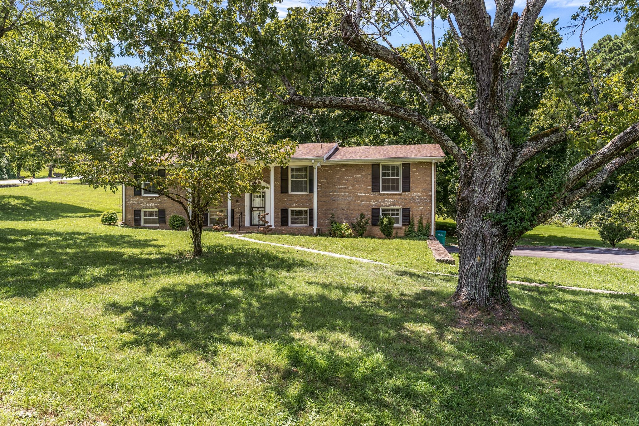 317 Forrest Valley Dr