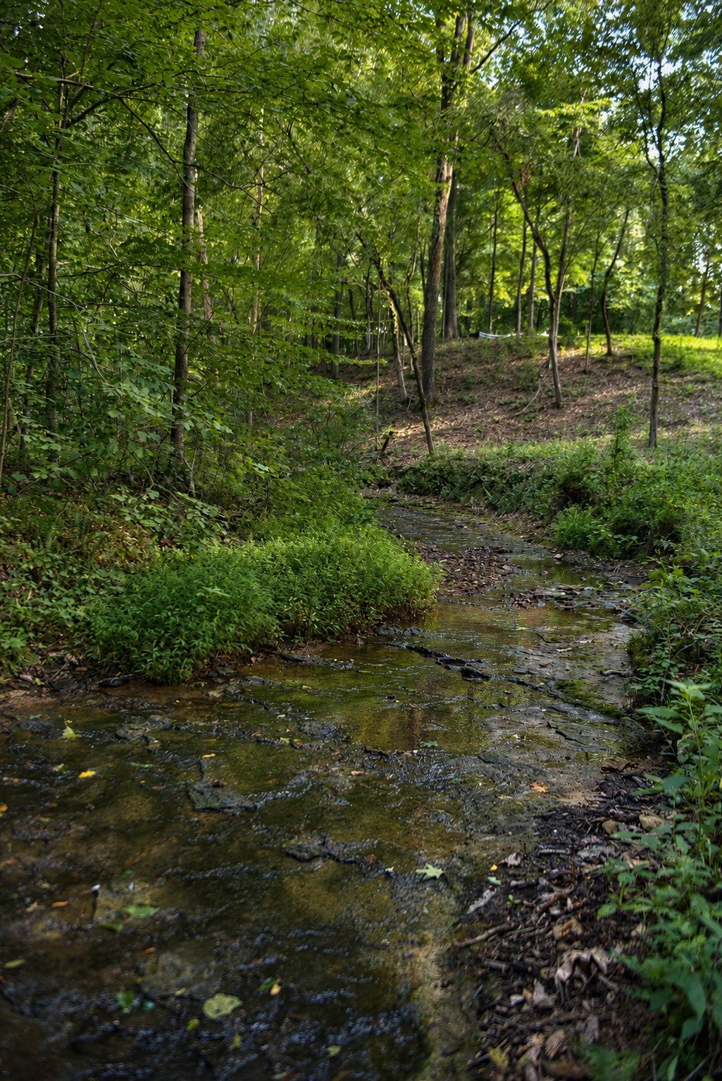 listing at 7368 Overbey Rd, Fairview