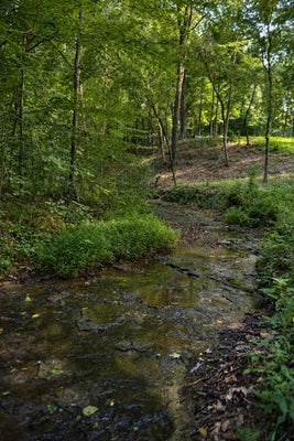 7368 OVERBY RD, FAIRVIEW, TN 37062 - Image b9be7e4c5978200b2b527aaae3b64f4a/486597526