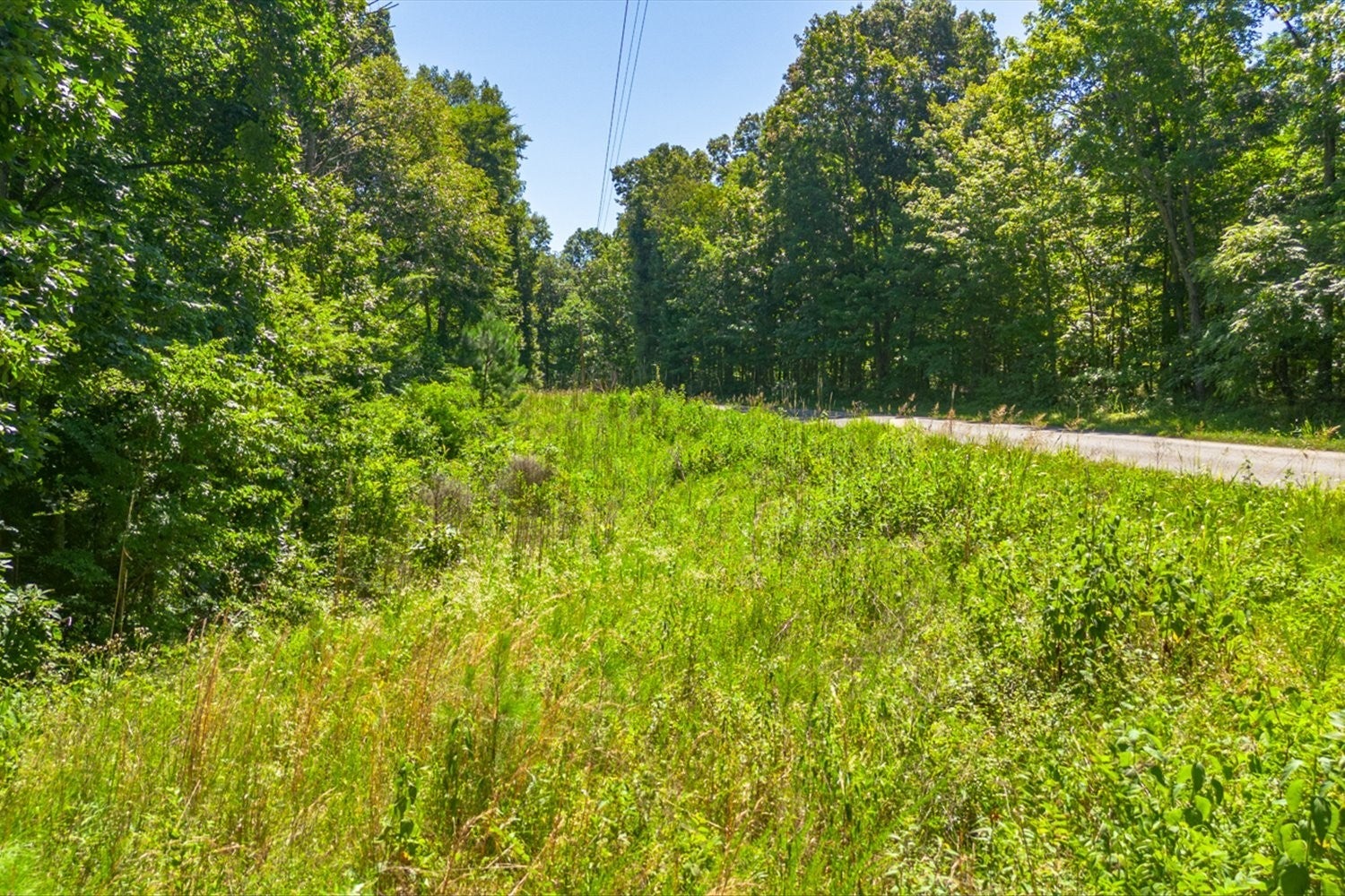 0 Chestnut Ridge Rd