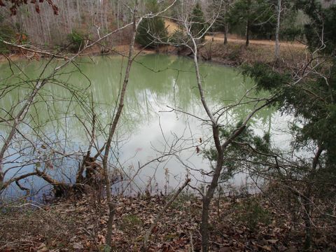 0 Split Lake Drive Nunnelly TN 37137