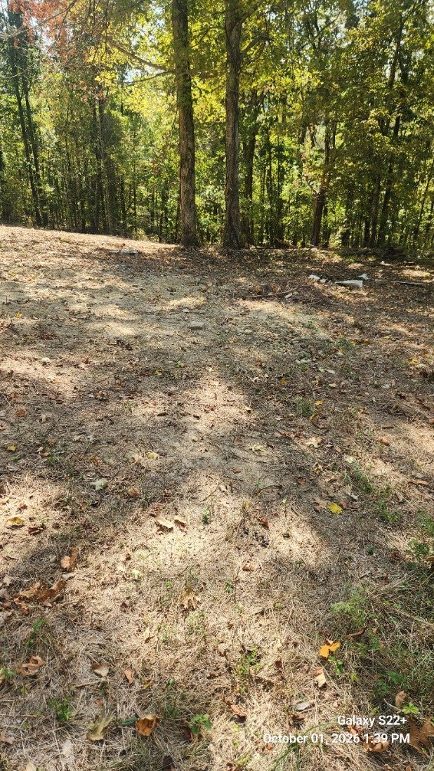320 Hilltop Ln